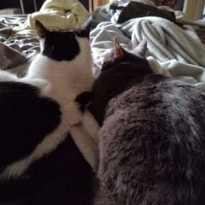 Meet your Posher, Nicole